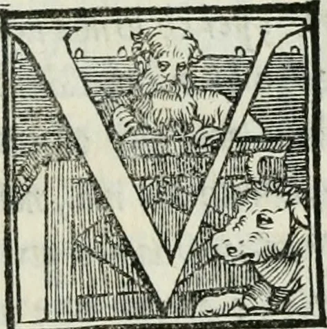 An illustration from De le lettere di m. Clavdio Tolomei lib. sette. Con vna breve dichiarazione in fine di tvtto l'ordin de l'ortografia di qvesta opera, 1547, leaf 238