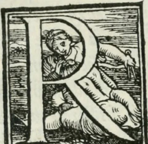 An illustration from De le lettere di m. Clavdio Tolomei lib. sette. Con vna breve dichiarazione in fine di tvtto l'ordin de l'ortografia di qvesta opera, 1547, leaf 239