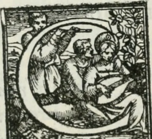 An illustration from De le lettere di m. Clavdio Tolomei lib. sette. Con vna breve dichiarazione in fine di tvtto l'ordin de l'ortografia di qvesta opera, 1547, leaf 239