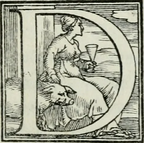 An illustration from De le lettere di m. Clavdio Tolomei lib. sette. Con vna breve dichiarazione in fine di tvtto l'ordin de l'ortografia di qvesta opera, 1547, leaf 242