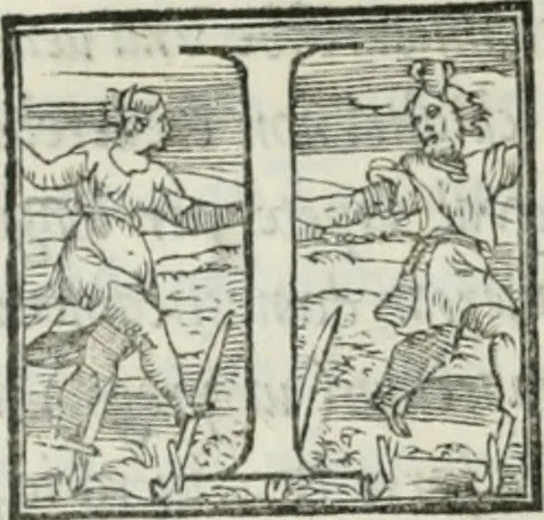 An illustration from De le lettere di m. Clavdio Tolomei lib. sette. Con vna breve dichiarazione in fine di tvtto l'ordin de l'ortografia di qvesta opera, 1547, leaf 243