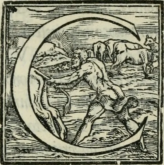 An illustration from De le lettere di m. Clavdio Tolomei lib. sette. Con vna breve dichiarazione in fine di tvtto l'ordin de l'ortografia di qvesta opera, 1547, leaf 244