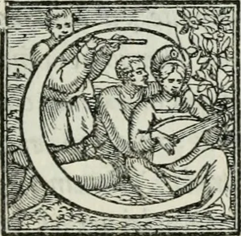 An illustration from De le lettere di m. Clavdio Tolomei lib. sette. Con vna breve dichiarazione in fine di tvtto l'ordin de l'ortografia di qvesta opera, 1547, leaf 246