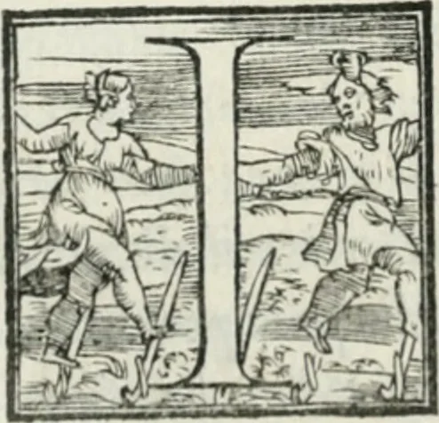 An illustration from De le lettere di m. Clavdio Tolomei lib. sette. Con vna breve dichiarazione in fine di tvtto l'ordin de l'ortografia di qvesta opera, 1547, leaf 247