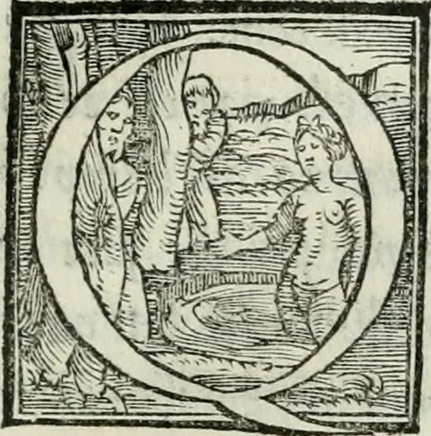 An illustration from De le lettere di m. Clavdio Tolomei lib. sette. Con vna breve dichiarazione in fine di tvtto l'ordin de l'ortografia di qvesta opera, 1547, leaf 250