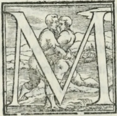 An illustration from De le lettere di m. Clavdio Tolomei lib. sette. Con vna breve dichiarazione in fine di tvtto l'ordin de l'ortografia di qvesta opera, 1547, leaf 251