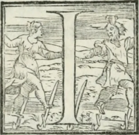 An illustration from De le lettere di m. Clavdio Tolomei lib. sette. Con vna breve dichiarazione in fine di tvtto l'ordin de l'ortografia di qvesta opera, 1547, leaf 253