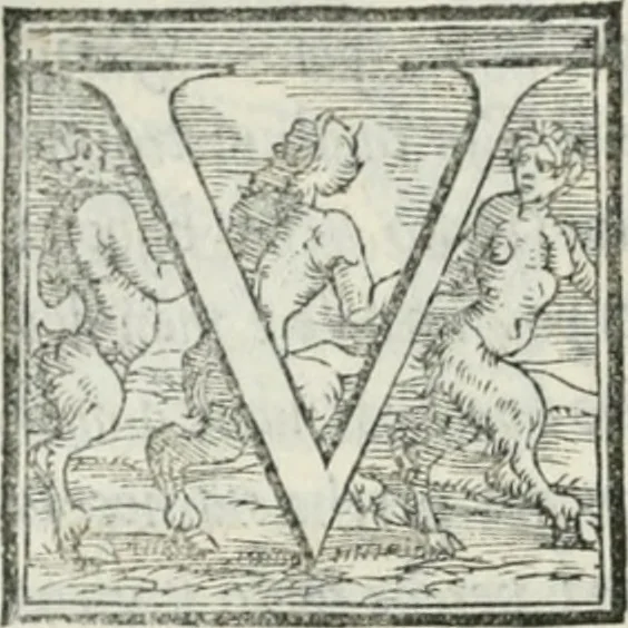 An illustration from De le lettere di m. Clavdio Tolomei lib. sette. Con vna breve dichiarazione in fine di tvtto l'ordin de l'ortografia di qvesta opera, 1547, leaf 301