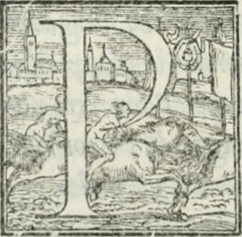 An illustration from De le lettere di m. Clavdio Tolomei lib. sette. Con vna breve dichiarazione in fine di tvtto l'ordin de l'ortografia di qvesta opera, 1547, leaf 301