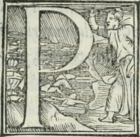 An illustration from De le lettere di m. Clavdio Tolomei lib. sette. Con vna breve dichiarazione in fine di tvtto l'ordin de l'ortografia di qvesta opera, 1547, leaf 317