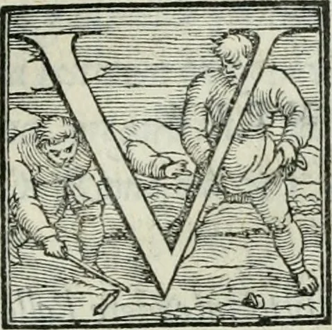 An illustration from De le lettere di m. Clavdio Tolomei lib. sette. Con vna breve dichiarazione in fine di tvtto l'ordin de l'ortografia di qvesta opera, 1547, leaf 318