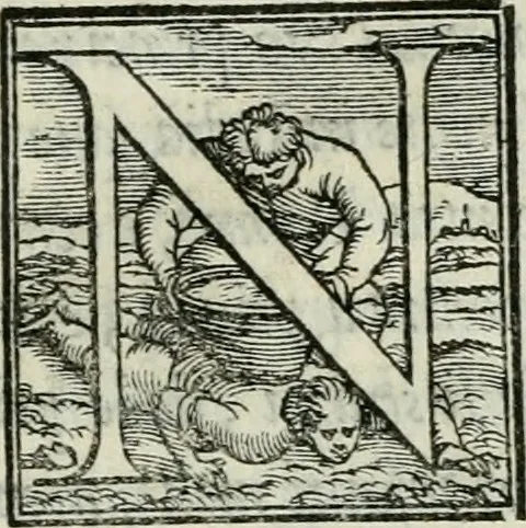 An illustration from De le lettere di m. Clavdio Tolomei lib. sette. Con vna breve dichiarazione in fine di tvtto l'ordin de l'ortografia di qvesta opera, 1547, leaf 32