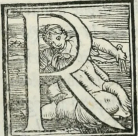 An illustration from De le lettere di m. Clavdio Tolomei lib. sette. Con vna breve dichiarazione in fine di tvtto l'ordin de l'ortografia di qvesta opera, 1547, leaf 325