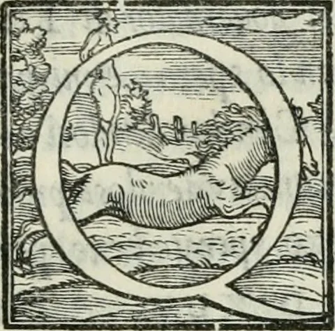 An illustration from De le lettere di m. Clavdio Tolomei lib. sette. Con vna breve dichiarazione in fine di tvtto l'ordin de l'ortografia di qvesta opera, 1547, leaf 330