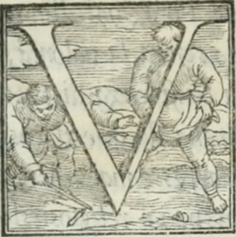 An illustration from De le lettere di m. Clavdio Tolomei lib. sette. Con vna breve dichiarazione in fine di tvtto l'ordin de l'ortografia di qvesta opera, 1547, leaf 35