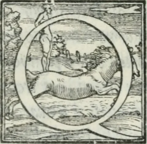 An illustration from De le lettere di m. Clavdio Tolomei lib. sette. Con vna breve dichiarazione in fine di tvtto l'ordin de l'ortografia di qvesta opera, 1547, leaf 353