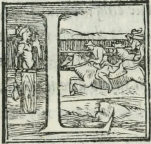 An illustration from De le lettere di m. Clavdio Tolomei lib. sette. Con vna breve dichiarazione in fine di tvtto l'ordin de l'ortografia di qvesta opera, 1547, leaf 361