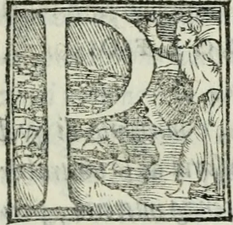 An illustration from De le lettere di m. Clavdio Tolomei lib. sette. Con vna breve dichiarazione in fine di tvtto l'ordin de l'ortografia di qvesta opera, 1547, leaf 368