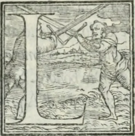 An illustration from De le lettere di m. Clavdio Tolomei lib. sette. Con vna breve dichiarazione in fine di tvtto l'ordin de l'ortografia di qvesta opera, 1547, leaf 369