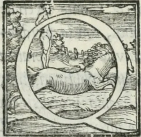 An illustration from De le lettere di m. Clavdio Tolomei lib. sette. Con vna breve dichiarazione in fine di tvtto l'ordin de l'ortografia di qvesta opera, 1547, leaf 369