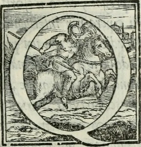 An illustration from De le lettere di m. Clavdio Tolomei lib. sette. Con vna breve dichiarazione in fine di tvtto l'ordin de l'ortografia di qvesta opera, 1547, leaf 370