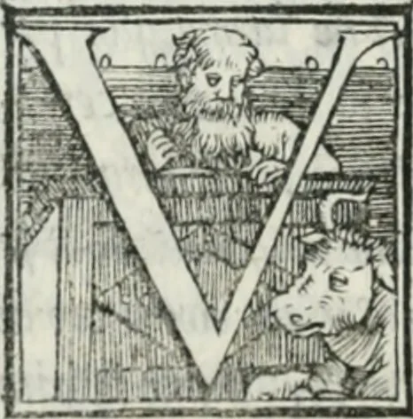 An illustration from De le lettere di m. Clavdio Tolomei lib. sette. Con vna breve dichiarazione in fine di tvtto l'ordin de l'ortografia di qvesta opera, 1547, leaf 371
