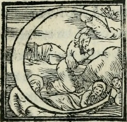 An illustration from De le lettere di m. Clavdio Tolomei lib. sette. Con vna breve dichiarazione in fine di tvtto l'ordin de l'ortografia di qvesta opera, 1547, leaf 372