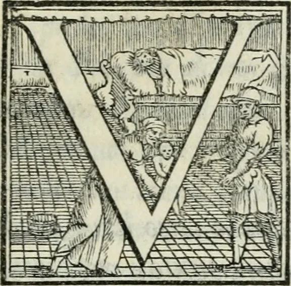 An illustration from De le lettere di m. Clavdio Tolomei lib. sette. Con vna breve dichiarazione in fine di tvtto l'ordin de l'ortografia di qvesta opera, 1547, leaf 376