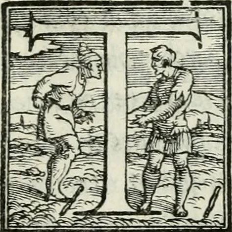 An illustration from De le lettere di m. Clavdio Tolomei lib. sette. Con vna breve dichiarazione in fine di tvtto l'ordin de l'ortografia di qvesta opera, 1547, leaf 392