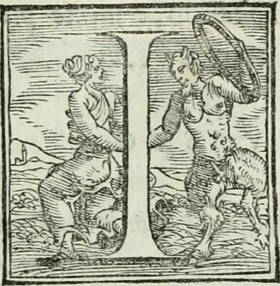 An illustration from De le lettere di m. Clavdio Tolomei lib. sette. Con vna breve dichiarazione in fine di tvtto l'ordin de l'ortografia di qvesta opera, 1547, leaf 398