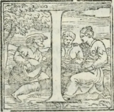An illustration from De le lettere di m. Clavdio Tolomei lib. sette. Con vna breve dichiarazione in fine di tvtto l'ordin de l'ortografia di qvesta opera, 1547, leaf 401