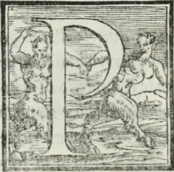 An illustration from De le lettere di m. Clavdio Tolomei lib. sette. Con vna breve dichiarazione in fine di tvtto l'ordin de l'ortografia di qvesta opera, 1547, leaf 405