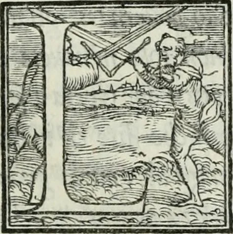 An illustration from De le lettere di m. Clavdio Tolomei lib. sette. Con vna breve dichiarazione in fine di tvtto l'ordin de l'ortografia di qvesta opera, 1547, leaf 406