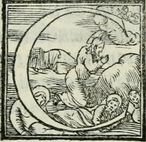 An illustration from De le lettere di m. Clavdio Tolomei lib. sette. Con vna breve dichiarazione in fine di tvtto l'ordin de l'ortografia di qvesta opera, 1547, leaf 408