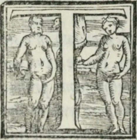 An illustration from De le lettere di m. Clavdio Tolomei lib. sette. Con vna breve dichiarazione in fine di tvtto l'ordin de l'ortografia di qvesta opera, 1547, leaf 415