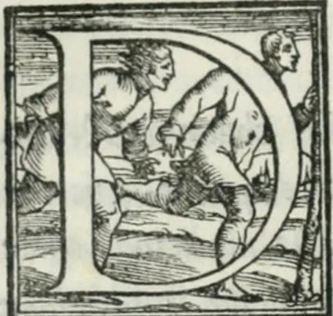 An illustration from De le lettere di m. Clavdio Tolomei lib. sette. Con vna breve dichiarazione in fine di tvtto l'ordin de l'ortografia di qvesta opera, 1547, leaf 419