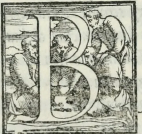 An illustration from De le lettere di m. Clavdio Tolomei lib. sette. Con vna breve dichiarazione in fine di tvtto l'ordin de l'ortografia di qvesta opera, 1547, leaf 419
