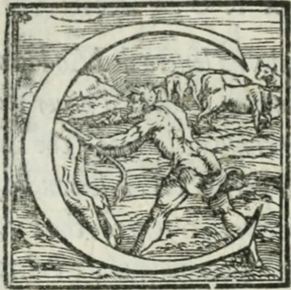 An illustration from De le lettere di m. Clavdio Tolomei lib. sette. Con vna breve dichiarazione in fine di tvtto l'ordin de l'ortografia di qvesta opera, 1547, leaf 421