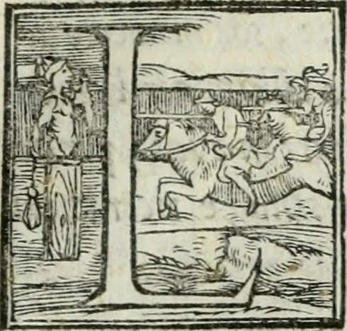 An illustration from De le lettere di m. Clavdio Tolomei lib. sette. Con vna breve dichiarazione in fine di tvtto l'ordin de l'ortografia di qvesta opera, 1547, leaf 422