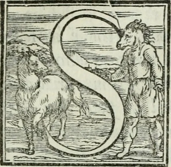 An illustration from De le lettere di m. Clavdio Tolomei lib. sette. Con vna breve dichiarazione in fine di tvtto l'ordin de l'ortografia di qvesta opera, 1547, leaf 426