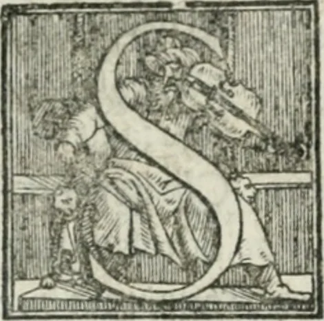 An illustration from De le lettere di m. Clavdio Tolomei lib. sette. Con vna breve dichiarazione in fine di tvtto l'ordin de l'ortografia di qvesta opera, 1547, leaf 427