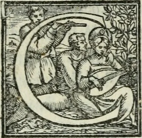 An illustration from De le lettere di m. Clavdio Tolomei lib. sette. Con vna breve dichiarazione in fine di tvtto l'ordin de l'ortografia di qvesta opera, 1547, leaf 428
