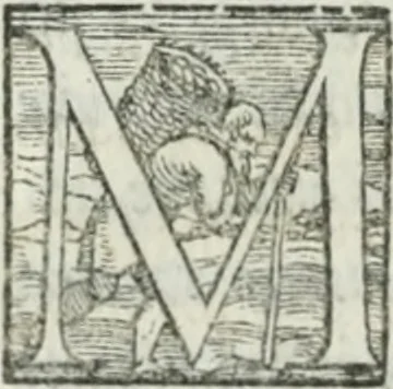 An illustration from De le lettere di m. Clavdio Tolomei lib. sette. Con vna breve dichiarazione in fine di tvtto l'ordin de l'ortografia di qvesta opera, 1547, leaf 429
