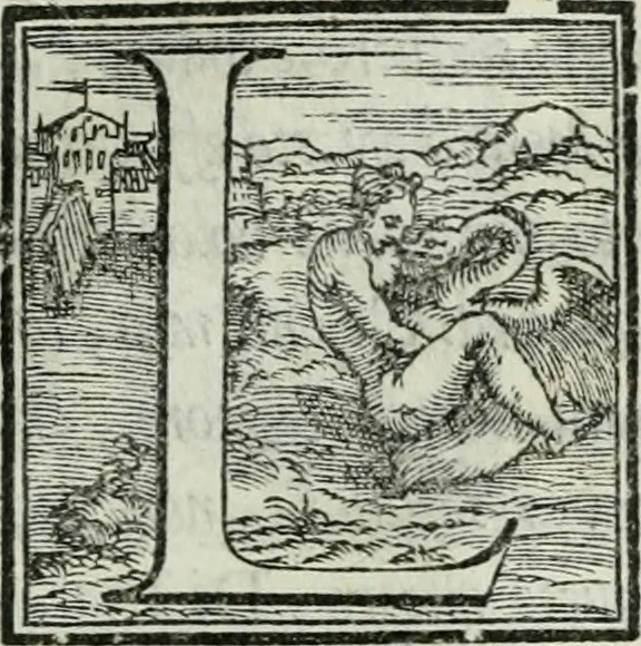 An illustration from De le lettere di m. Clavdio Tolomei lib. sette. Con vna breve dichiarazione in fine di tvtto l'ordin de l'ortografia di qvesta opera, 1547, leaf 432