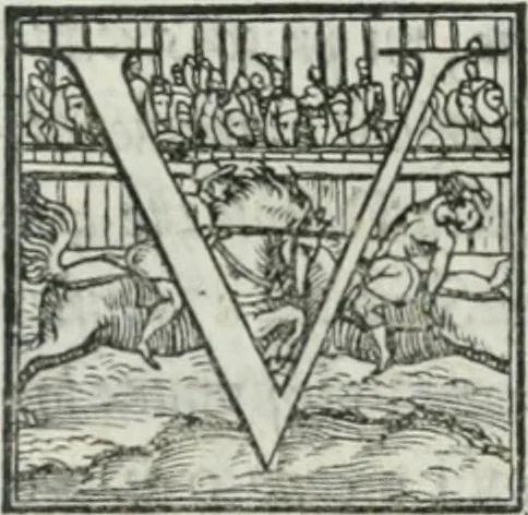 An illustration from De le lettere di m. Clavdio Tolomei lib. sette. Con vna breve dichiarazione in fine di tvtto l'ordin de l'ortografia di qvesta opera, 1547, leaf 433