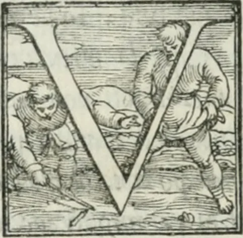 An illustration from De le lettere di m. Clavdio Tolomei lib. sette. Con vna breve dichiarazione in fine di tvtto l'ordin de l'ortografia di qvesta opera, 1547, leaf 437