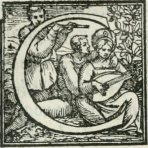 An illustration from De le lettere di m. Clavdio Tolomei lib. sette. Con vna breve dichiarazione in fine di tvtto l'ordin de l'ortografia di qvesta opera, 1547, leaf 443