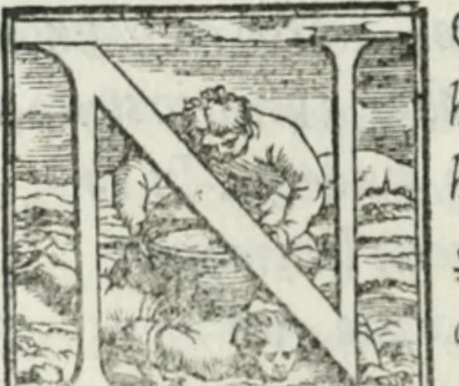 An illustration from De le lettere di m. Clavdio Tolomei lib. sette. Con vna breve dichiarazione in fine di tvtto l'ordin de l'ortografia di qvesta opera, 1547, leaf 443