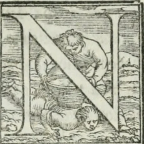 An illustration from De le lettere di m. Clavdio Tolomei lib. sette. Con vna breve dichiarazione in fine di tvtto l'ordin de l'ortografia di qvesta opera, 1547, leaf 445