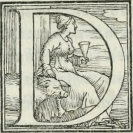 An illustration from De le lettere di m. Clavdio Tolomei lib. sette. Con vna breve dichiarazione in fine di tvtto l'ordin de l'ortografia di qvesta opera, 1547, leaf 445